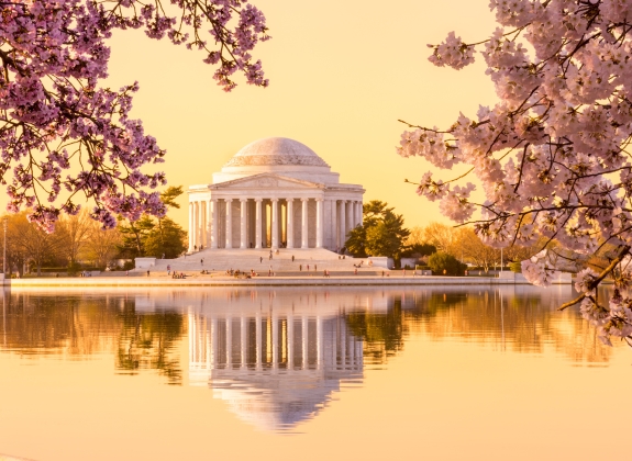 jefferson memorial in washington, DC with cherry blossom trees