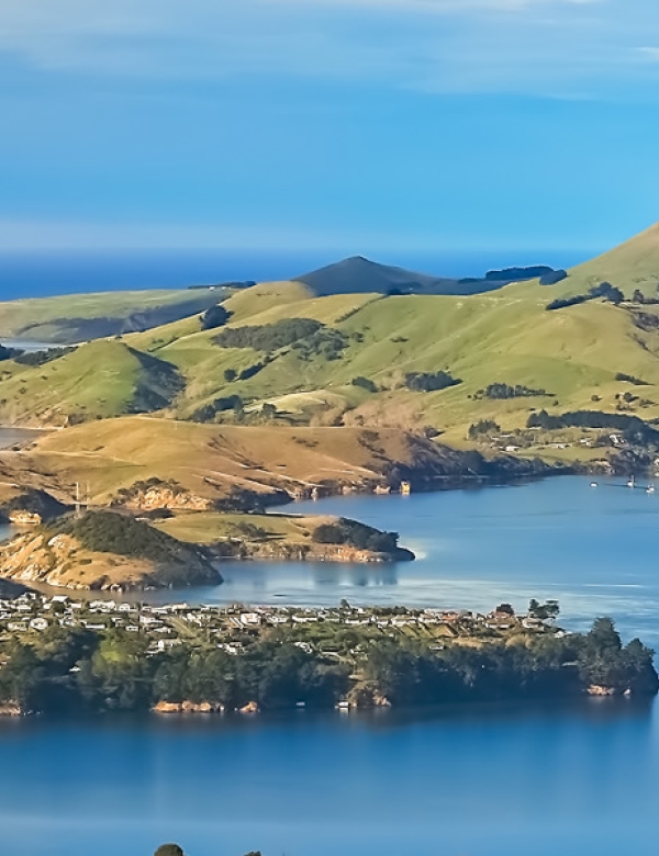 Dunedin-1800x600