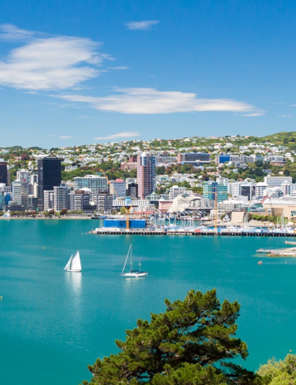 Wellington-1800x600