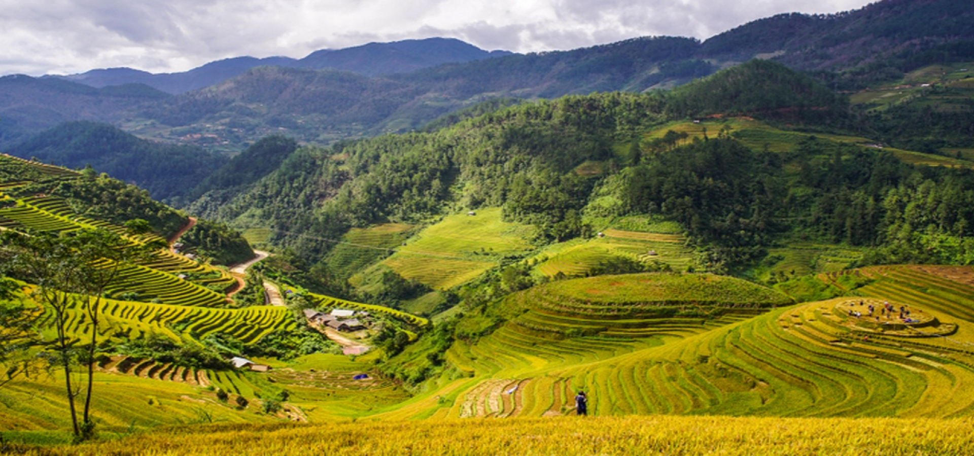 Terraced-Rice-Filed-in-Mai-Chau-Vietname-1800x600
