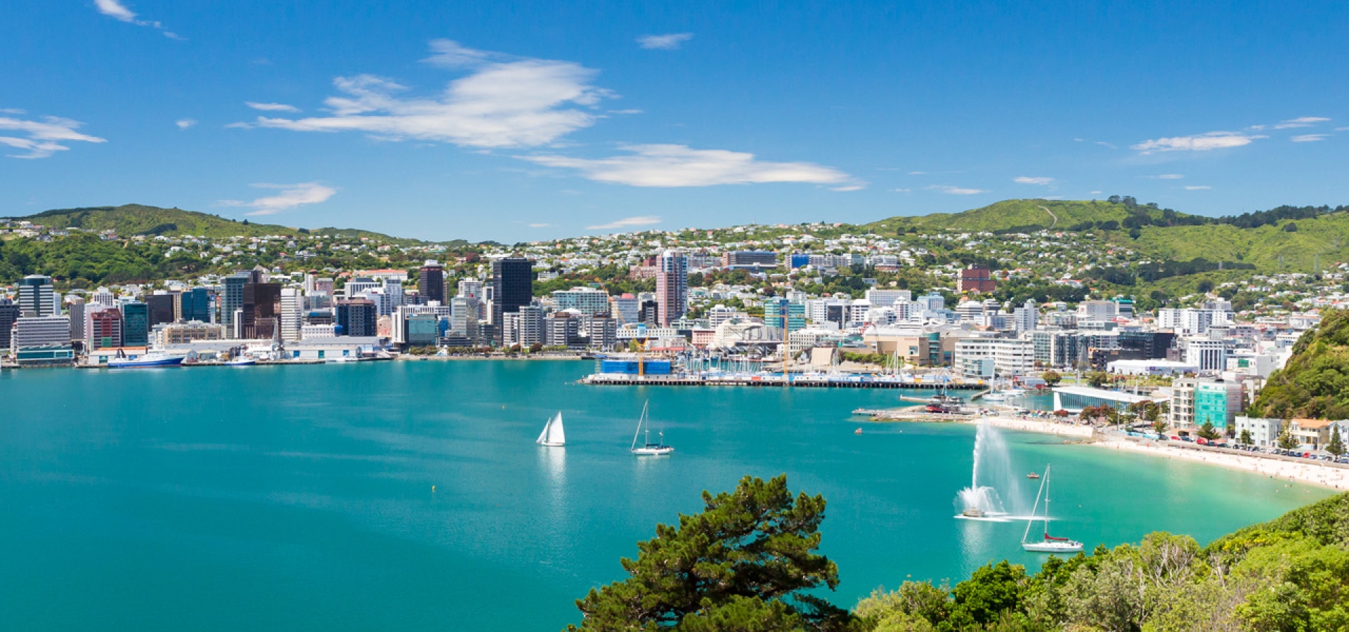 Wellington-1800x600