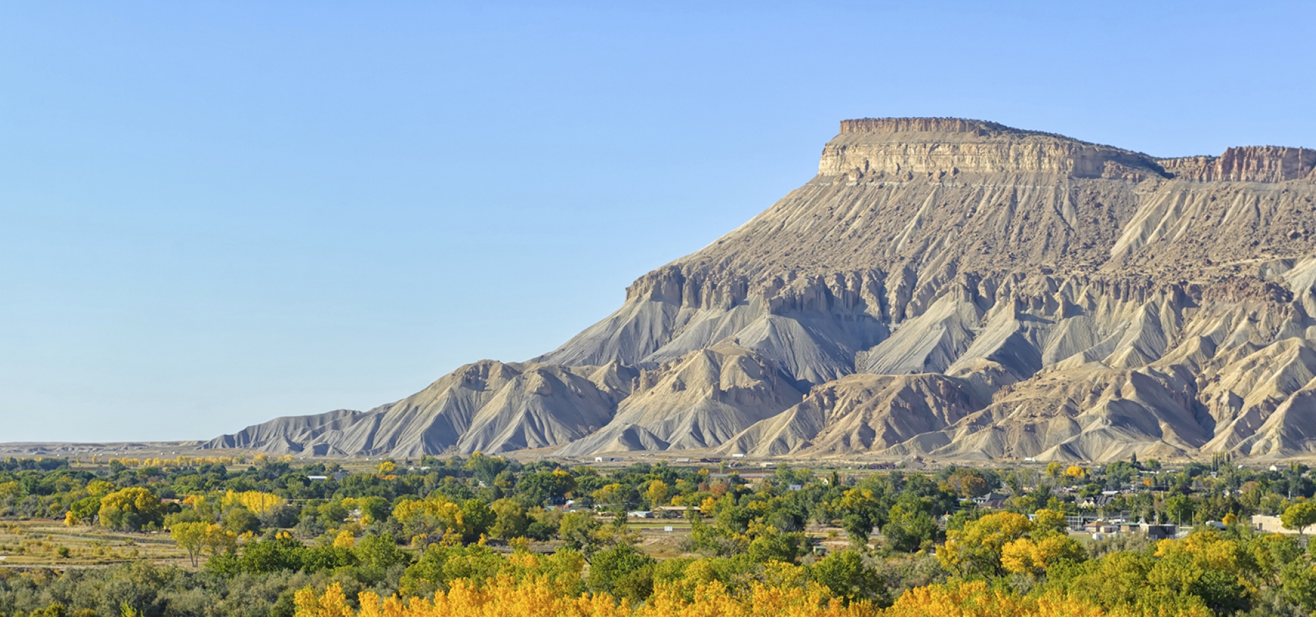 Grand Junction Colorado Fall Colors Grand Junction Colorado Fall Colors