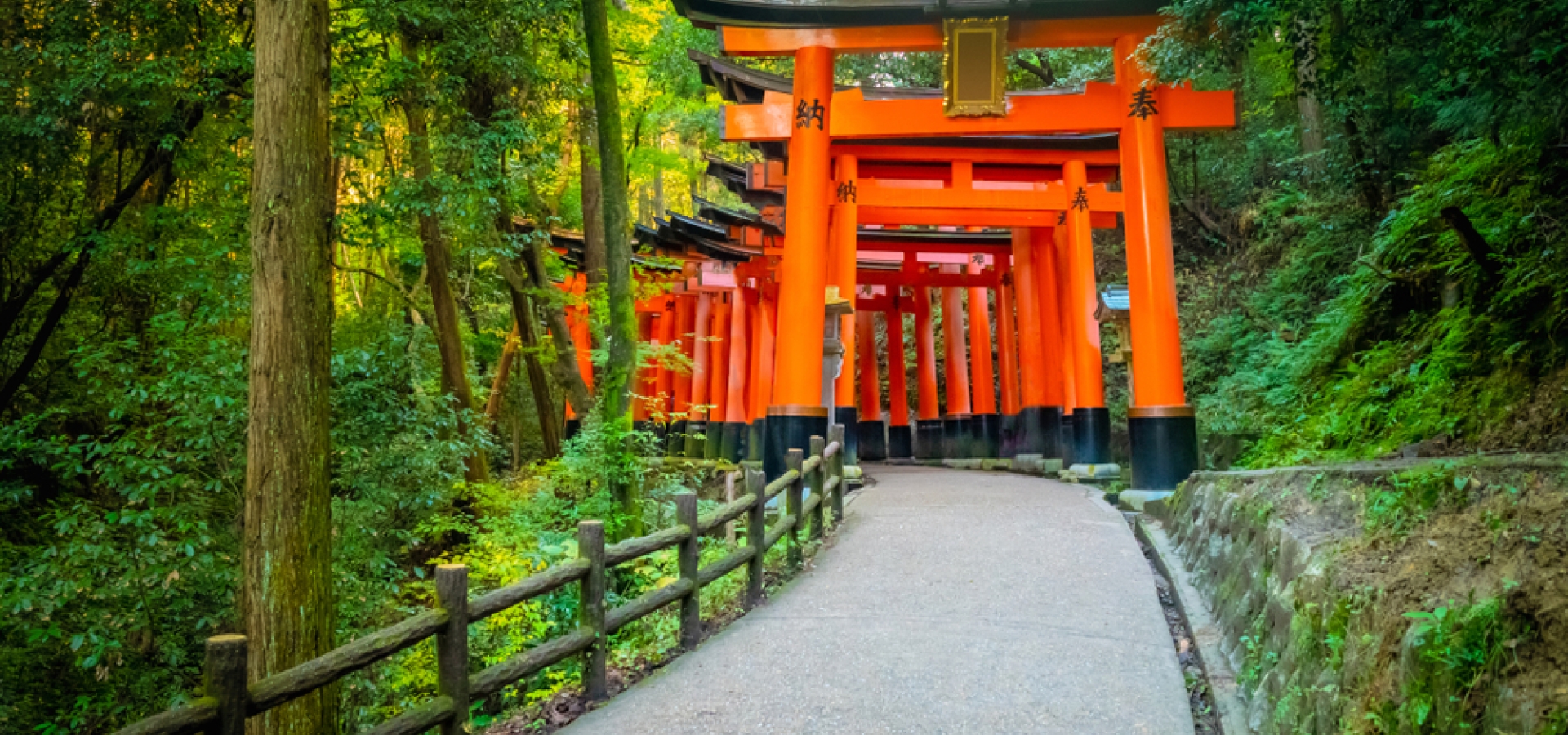 img_kyoto_fusimi_japan