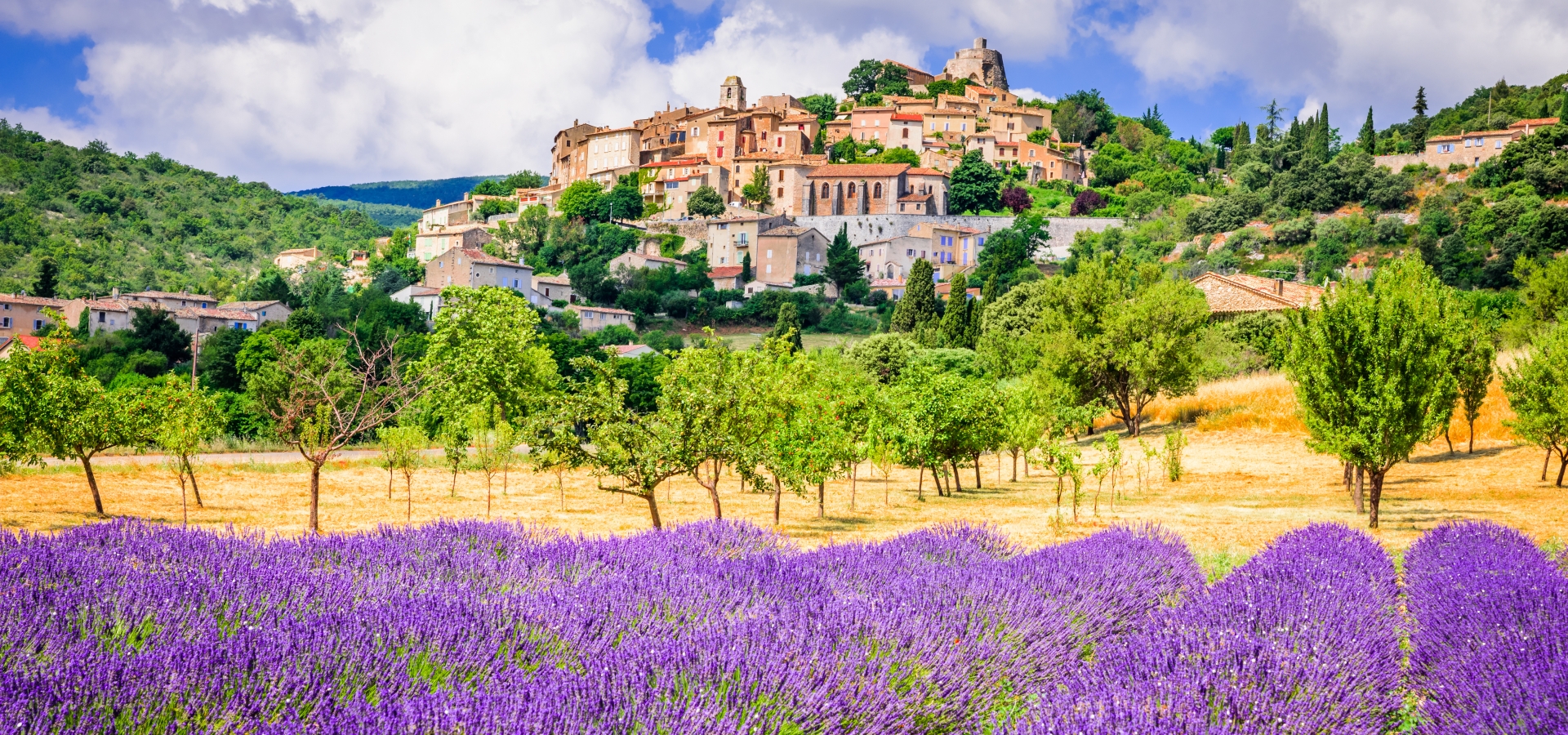 provence