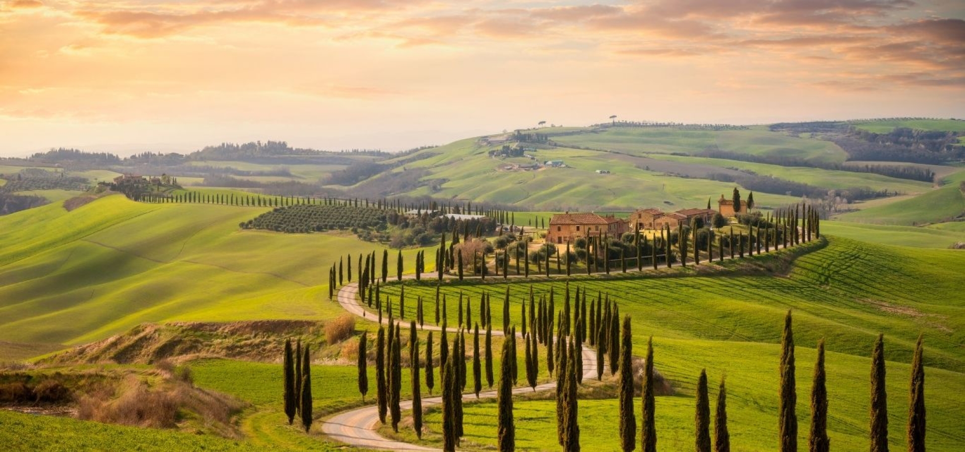 Rolling hills of tuscany