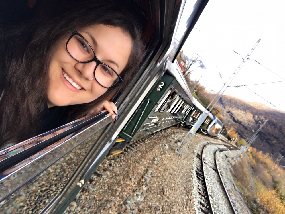 rail insider on Flam Railway in Flam, norway